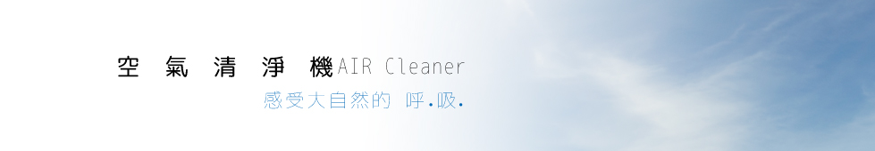 Air cleaner